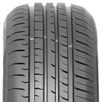 FronWay-Ecogreen-55-2