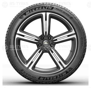 Michelin Pilot Alpin 5 SUV 285/45 R21 113V