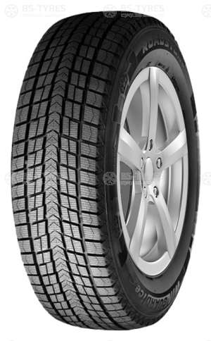Roadstone Winguard Ice 205/55 R16 91Q