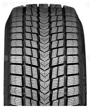 Roadstone Winguard Ice 205/55 R16 91Q