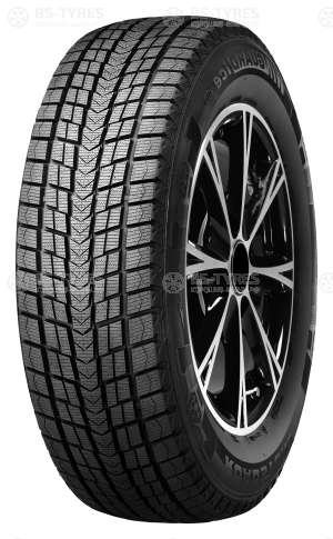 Roadstone Winguard Ice 205/55 R16 91Q